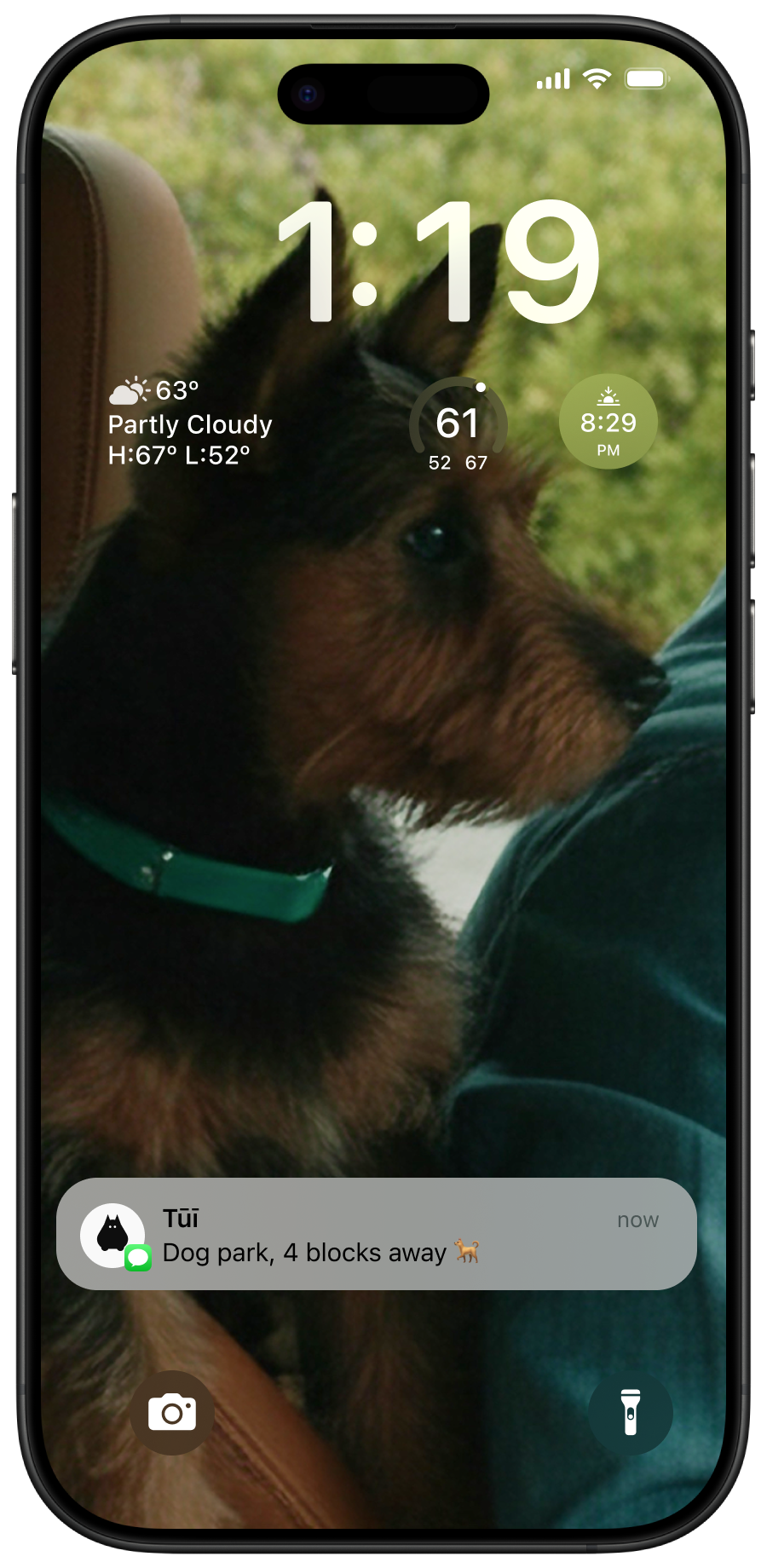 iOS lock screen: walking directions to a dog park near the charger